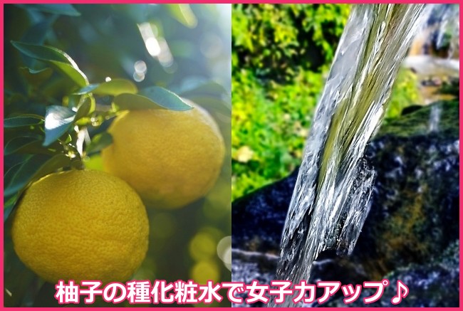手作り柚子の種化粧水の簡単な作り方